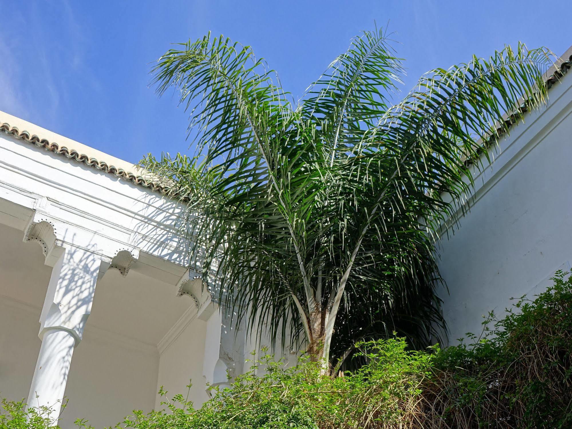 Riad Al Assala Marakéš Exteriér fotografie